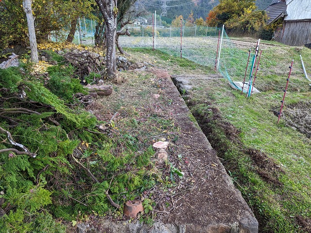 京都便利屋YJB - お庭の伐採剪定作業