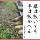 京都市西京区の便利屋 "京都便利屋YJB" - 草刈り、草抜き、草引き、除草サービス