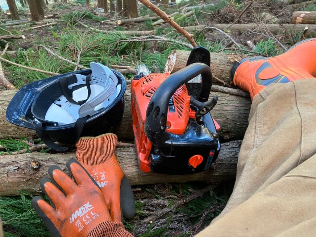 【安全・丁寧】草刈り・草引き・剪定・伐採サービス - 京都便利屋YJB