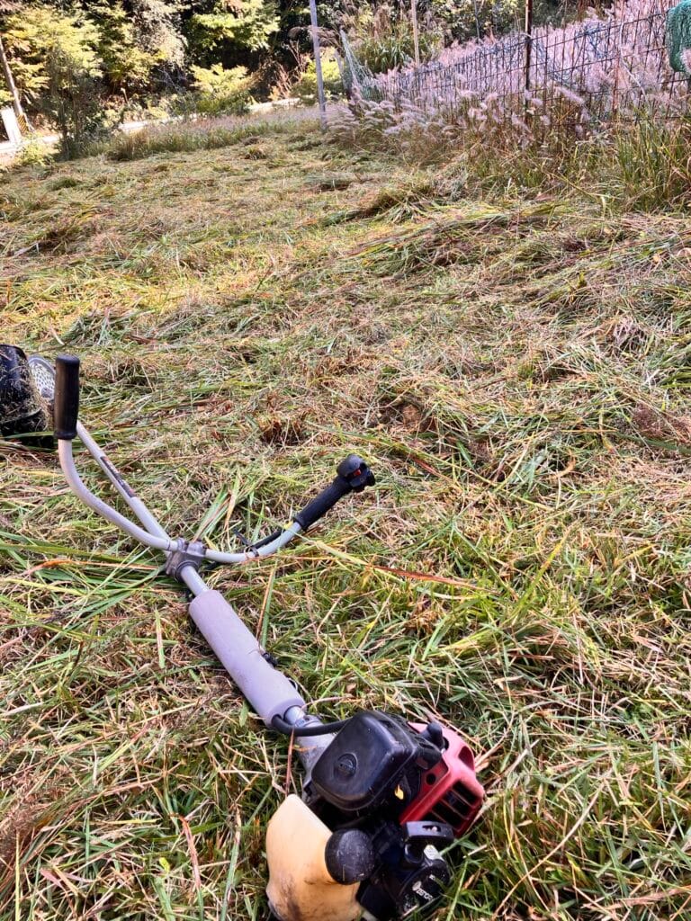 【安全・丁寧】草刈り・草引き・剪定・伐採サービス - 京都便利屋YJB